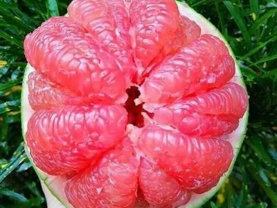 Code promo 1XBET Profitez-en au maximum