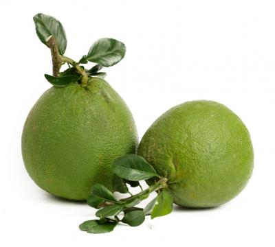 Mua bán sỉ Bưởi da xanh không hạt