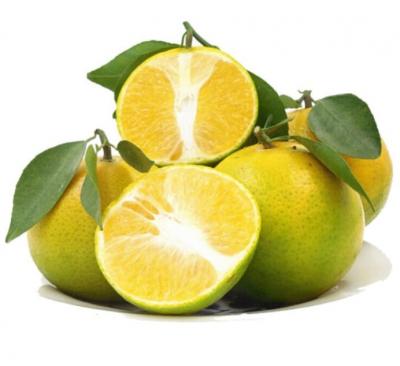 Mua bán sỉ Cam xoàn