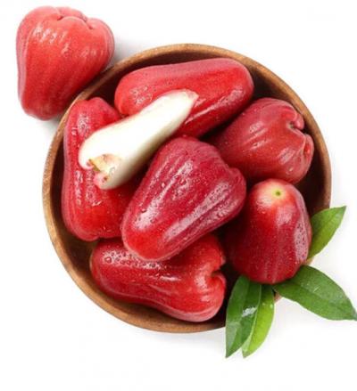 Mua bán sỉ mận an phước