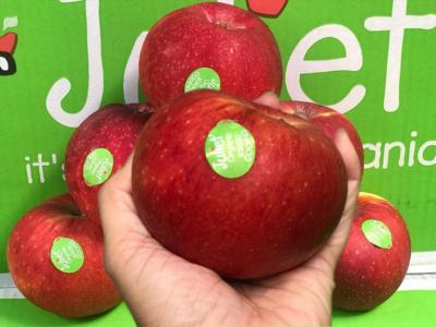 Táo Juliet hữu cơ