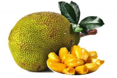 Mít thái ngon giá sỉ tận vườn