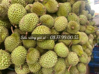 Sầu Riêng Giá Sỉ Tại Vườn